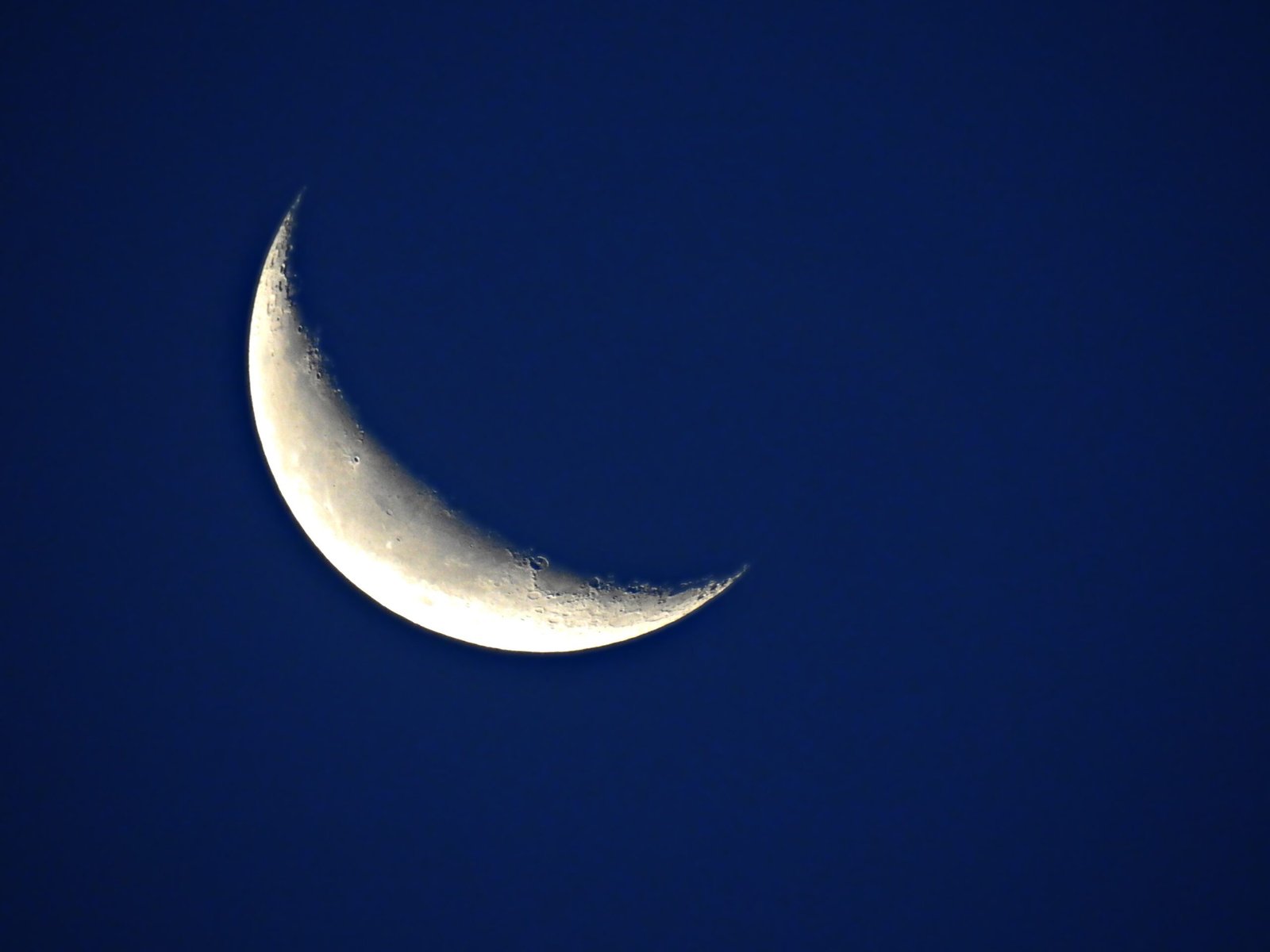 Crescent Moon by Randy Zucker
