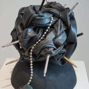 Asteroid by Amy Scofield