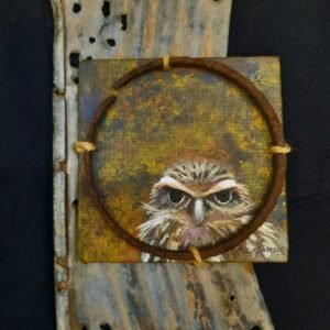 Hiding (Arizona burrowing owl) by Becca Farmer