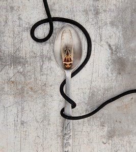 Cicada Spoon with Black P-Cord by Margeaux Bestard