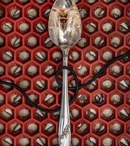Cicada Spoon with P-Cord in Motor Well by Margeaux Bestard