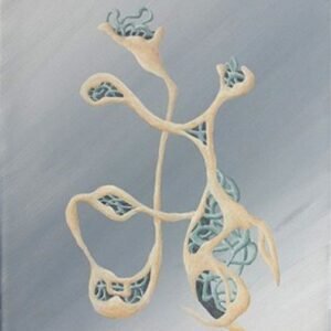 Symbiotic Relationships by ST Bycroft