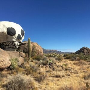 Skull Rock by Edwin Canfield/ Cactus Breath