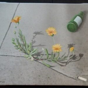 The 2 Natures by Craig Cheply
