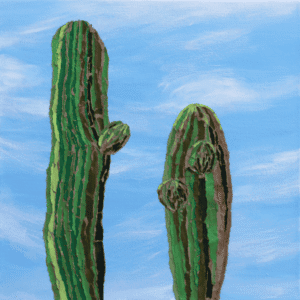 Daylight on the Saguaros by Hyewon Yoon