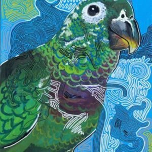 Parrot by Dakota Drake
