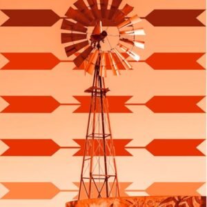 "Standing Reservation Windmill" by Carissa Eich