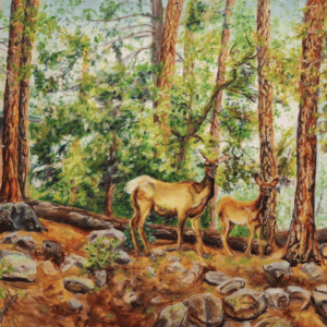 Elk at Geronimo by Fiala Richard