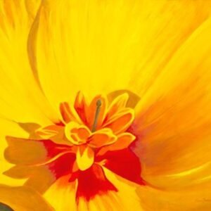 Sun Kissed Wildflower by Becca Farmer