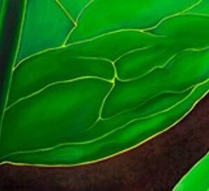 New Leaf by Becca Farmer