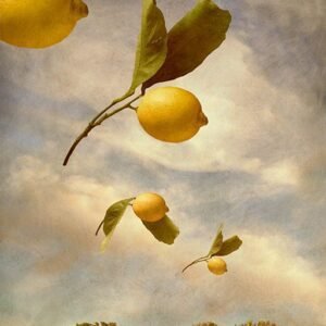 Flock of Lemons by Linda Ingraham