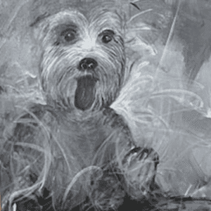 HERE'S TROUBLE by Paula Driscoll