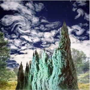 Borrowed Dream by Reed Hearne