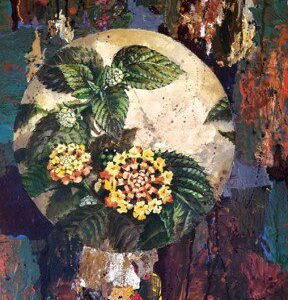 Lantana by Hristi Wilbur