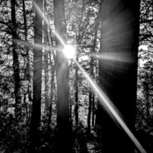 Shines Through, Marshal Lake, AZ by Jon Jeffery