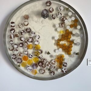 Bee Ten Path by Jennifer Caldwell and Jason Chakravarty