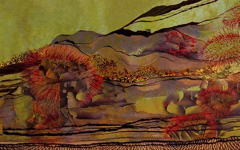 Alluvium Strata by Joey Melinda Morgan