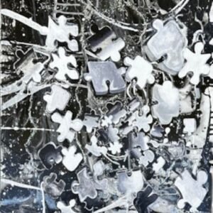 In Pieces by Veralyn Johnson