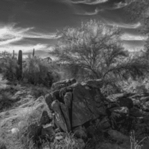 Spring Desert by Bill Keffeler