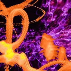 Loop Lights by Hank Keneally