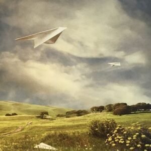 Learning to Fly II by Linda Ingraham