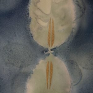 Frontal Lobe by Maria Rivas