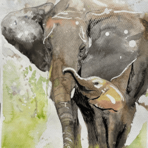 Mother and Child Elephant by Dakota Drake
