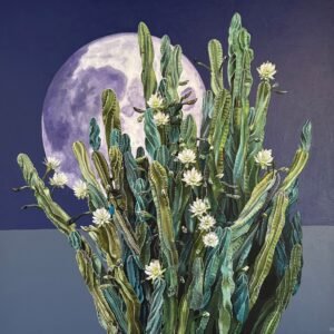 Nightblooms by Stacy Holmstedt