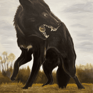 Nothing to Apologize For by Kelly Kirkby