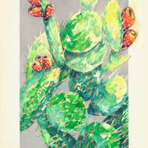 Cactus 1 by Paula Driscoll