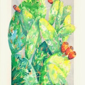 Cactus 2 by Paula Driscoll