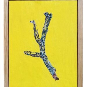 "Cholla Remains" by Jenni Pirmann