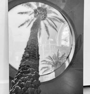 Palm Opening by Regina Alexandra