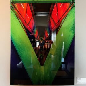 Through the Rainbow Bridge by Reid Woodward