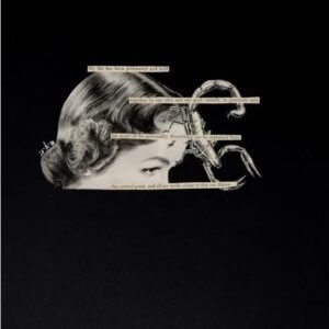Scorpio Rising by E.Y. Reilly
