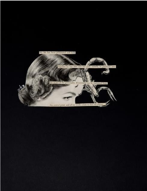 Scorpio Rising by E.Y. Reilly