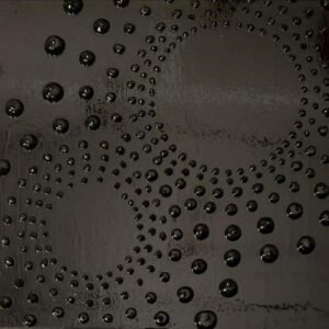Eclipse by Cindy Snider