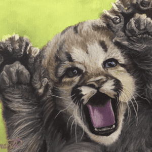 Surprise by Barbara Clements