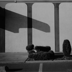 Long Shadows with Bushes Marilyn Szabo