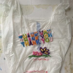 Thank You Bag I by Andrea Pro