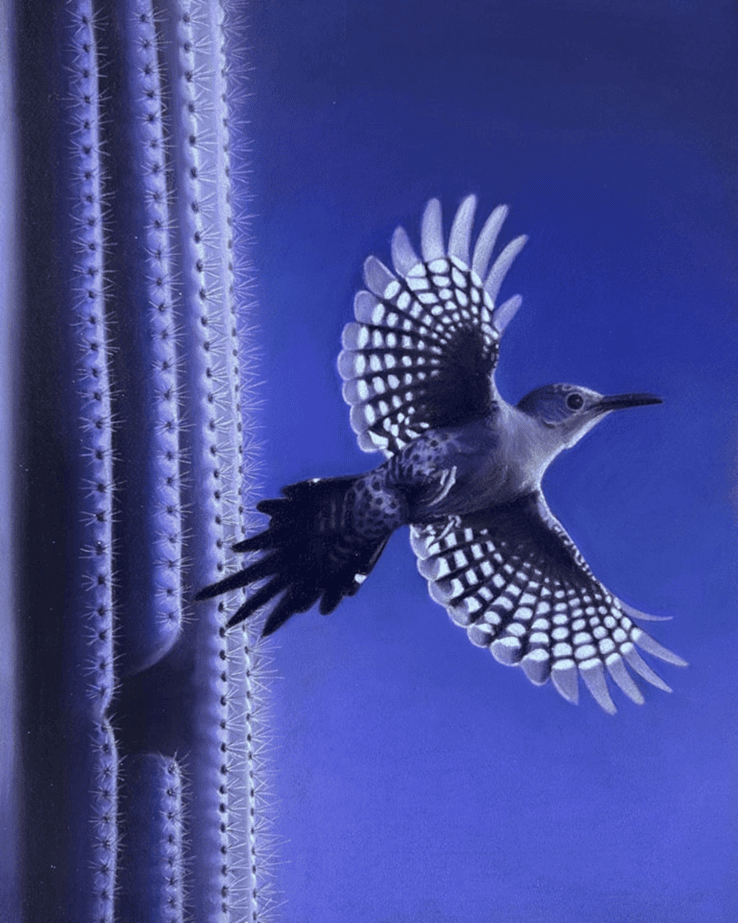 Twilight Glow of the Gila Woodpecker by James Guthrie