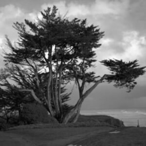 Isla Vista Life by Reid Woodward