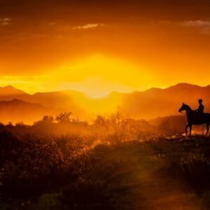 "Sunrise Rider" by Sue Wright