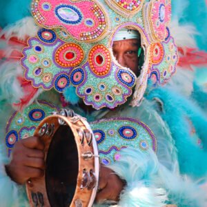 "Mardi Gras Indian in Blue" By Al Titkemeyer