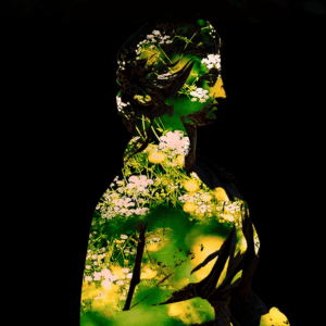 Anima Flora by Philip Zerbe