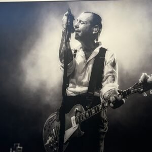 "Mike Ness: Social Distortion" By Randy Johnson
