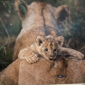 "Mother Love" By Randy Johnson