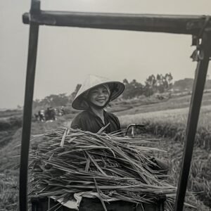 "Potrait from Vietnam" By Randy Johnson
