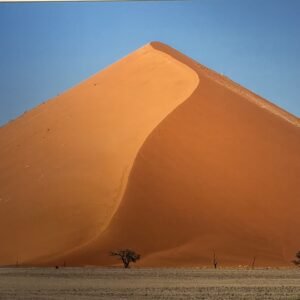 "Walking The Spine" By Randy Johnson