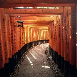 "Walking in Zen" By Randy Johnson